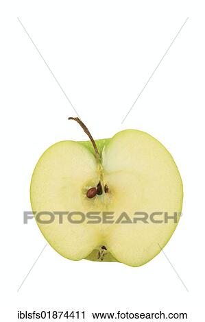 "Apple (Malus), Granny Smith cultivar, sliced" View Large Photo Image Stock Image - "Apple (Malus), Granny Smith cultivar, sliced". Fotosearch