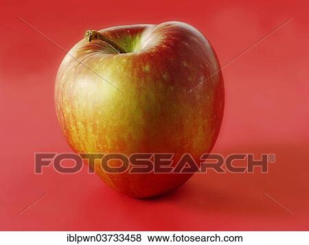 Apple View Large Photo Image Stock Photo - Apple. Fotosearch