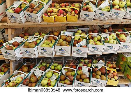 "Apples in cardboard baskets, apple market, Bad Feilnbach, Upper Bavaria, Bavaria, Germany, Europe" View Large Photo Image Stock Photo - "Apples in cardboard baskets, apple market, Bad Feilnbach, Upper Bavaria, Bavaria, Germany, Europe". Fotosearch