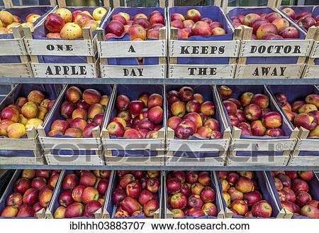 Stock Photo - "Apples in fruit boxes with the writing """"One apple a day keeps the doctor away"""", market stall, Erfurt, Thuringia, Germany, Europe". Fotosearch
