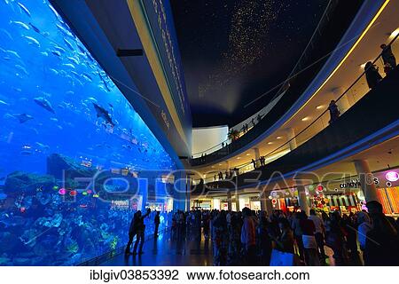 Aquarium In The Dubai Mall Shopping Centre Downtown Dubai