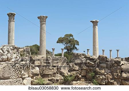 "Archaeological site, ancient city, columns of the gymnasium, Salamis, bei Famagusta, Gazimagusa, Ammochostos, Turkische Republik Nordzypern, Cyprus, Europe" View Large Photo Image Stock Image - "Archaeological site, ancient city, columns of the gymnasium, Salamis, bei Famagusta, Gazimagusa, Ammochostos, Turkische Republik Nordzypern, Cyprus, Europe". Fotosearch