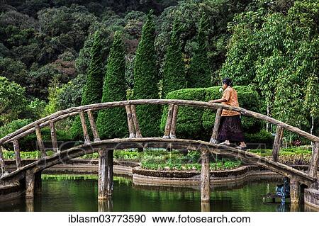 "Arched bridge over a small pond on the Doi Inthanon mountain, Doi Inthanon National Park, Chiang Mai Province, Thailand, Asia" View Large Photo Image Stock Image - "Arched bridge over a small pond on the Doi Inthanon mountain, Doi Inthanon National Park, Chiang Mai Province, Thailand, Asia". Fotosearch