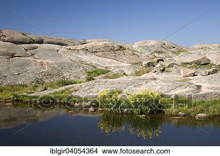 "Archipelago, near Smogen, Bohuslan, Sweden, Europe" View Large Photo Image Picture - "Archipelago, near Smogen, Bohuslan, Sweden, Europe". Fotosearch