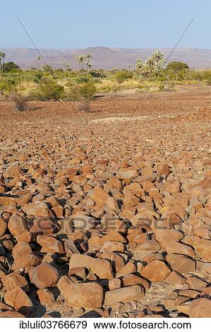 "Arid landscape at Palmwag, Kunene Region, Namibia, Africa" View Large Photo Image Stock Photo - "Arid landscape at Palmwag, Kunene Region, Namibia, Africa". Fotosearch