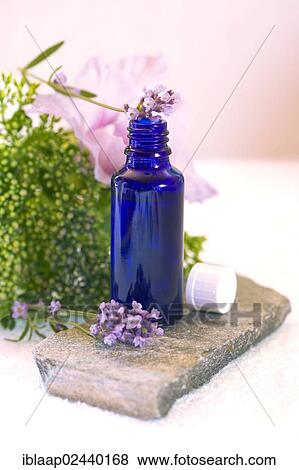 Stock Photo - "Aromatherapy oil, lavender, flower, towel, stone". Fotosearch