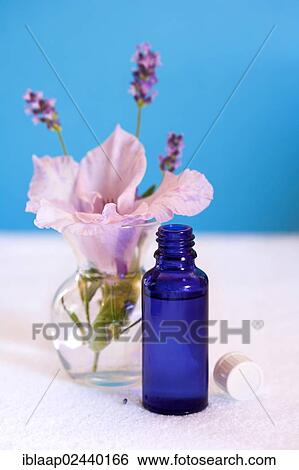 "Aromatherapy oil, lavender, flower, towel" View Large Photo Image Stock Photograph - "Aromatherapy oil, lavender, flower, towel". Fotosearch