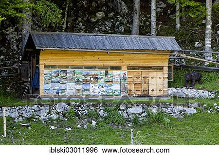 Stock Photograph - "Artfully painted beehive in Triglav National Park, Julian Alps, near Kranjska Gora, Slovenia, Europe". Fotosearch