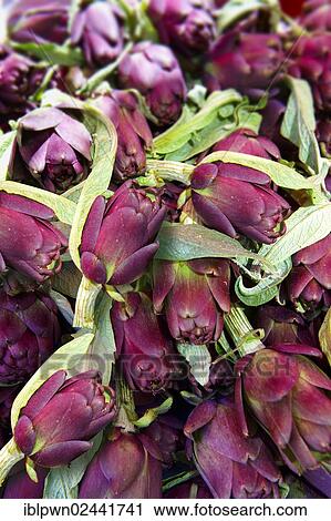 Stock Image - "Artichokes, Dolac vegetable market, Zagreb, Croatia, Europe". Fotosearch