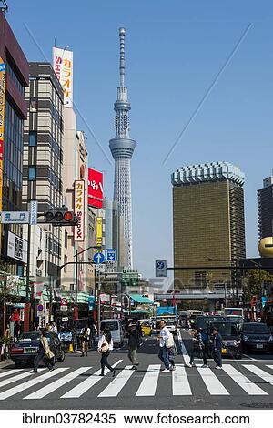 "Asakusa quarter with the Tokyo Skytree, Tokyo, Japan, Asia" View Large Photo Image Stock Photography - "Asakusa quarter with the Tokyo Skytree, Tokyo, Japan, Asia". Fotosearch