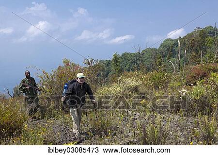 Stock Image - "Ascent to the summit of Mount Nyiragongo volcano, Goma, Nord-Kivu, Congo, Democratic Republic of the Congo, Africa". Fotosearch
