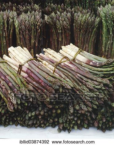 "Asparagus (Asparagus officinalis), bundles" View Large Photo Image Stock Image - "Asparagus (Asparagus officinalis), bundles". Fotosearch