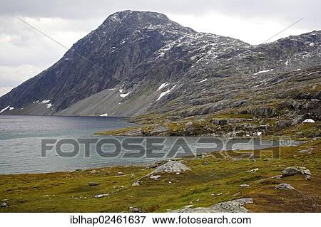 "At the mountain pass road from Geiranger Fjord to Lom, Geiranger, More og Romsdal, Norway, Northern Europe, Europe" View Large Photo Image Stock Photo - "At the mountain pass road from Geiranger Fjord to Lom, Geiranger, More og Romsdal, Norway, Northern Europe, Europe". Fotosearch