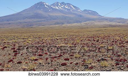 Stock Photo - "Atacama Desert, San Pedro de Atacama, Chile, South America". Fotosearch