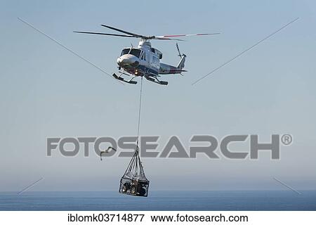 "Atlantic Airways helicopter transporting a quad bike, external load transport with a net, Mykines, Mykines, Faroe Islands, Denmark, Europe" View Large Photo Image Stock Photo - "Atlantic Airways helicopter transporting a quad bike, external load transport with a net, Mykines, Mykines, Faroe Islands, Denmark, Europe". Fotosearch