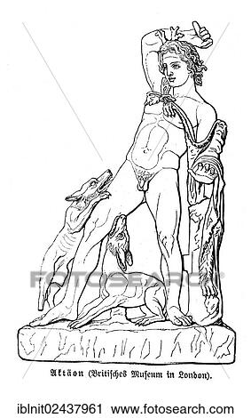 Stock Image - "Attaeon, an illustration from Meyers Konversations-Lexikon, an encyclopedia from 1897". Fotosearch