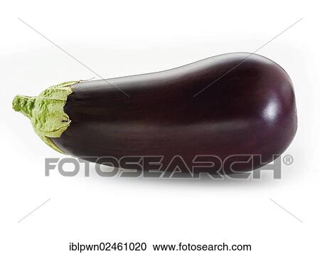 Aubergine View Large Photo Image Stock Image - Aubergine. Fotosearch