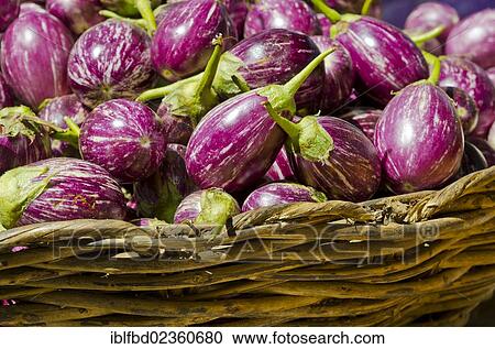 "Aubergines at local market, Madurai, India, Asia" View Large Photo Image Stock Image - "Aubergines at local market, Madurai, India, Asia". Fotosearch