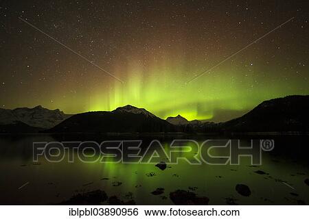 "Aurora borealis lights up the Chugach Range, Barry Arm, Prince William Sound, Alaska, USA" View Large Photo Image Stock Photograph - "Aurora borealis lights up the Chugach Range, Barry Arm, Prince William Sound, Alaska, USA". Fotosearch