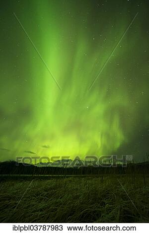 "Aurora borealis over College Fjord, Prince William Sound, Alaska" View Large Photo Image Stock Image - "Aurora borealis over College Fjord, Prince William Sound, Alaska". Fotosearch