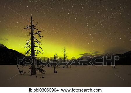"Aurora Borealis, Twentymile River, Portage, Alaska, United States, North America" View Large Photo Image Picture - "Aurora Borealis, Twentymile River, Portage, Alaska, United States, North America". Fotosearch