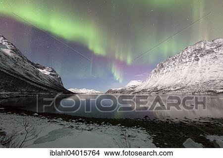 "Aurora over the Grotfjord, Tromso, Troms, Norway, Europe" View Large Photo Image Picture - "Aurora over the Grotfjord, Tromso, Troms, Norway, Europe". Fotosearch