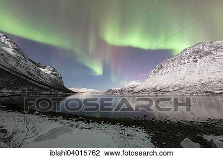 "Aurora over the Grotfjord, Tromso, Troms, Norway, Europe" View Large Photo Image Stock Image - "Aurora over the Grotfjord, Tromso, Troms, Norway, Europe". Fotosearch