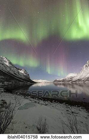 Stock Photo - "Aurora over the Grotfjord, Tromso, Troms, Norway, Europe". Fotosearch