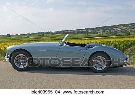 "Austin-Healey 3000, built in 1959" View Large Photo Image Picture - "Austin-Healey 3000, built in 1959". Fotosearch