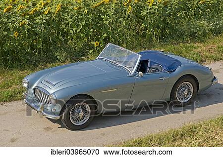 "Austin-Healey 3000, built in 1959" View Large Photo Image Stock Image - "Austin-Healey 3000, built in 1959". Fotosearch