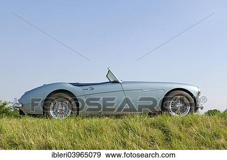 "Austin-Healey 3000, built in 1959" View Large Photo Image Stock Photo - "Austin-Healey 3000, built in 1959". Fotosearch