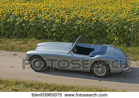 Stock Photography - "Austin-Healey 3000, built in 1959". Fotosearch