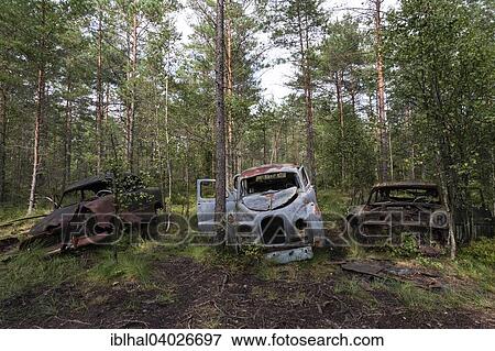 "Auto graveyard in the forest, junk cars, Kyrko Mosse, near Ryd, Smaland, Sweden, Europe" View Large Photo Image Stock Photo - "Auto graveyard in the forest, junk cars, Kyrko Mosse, near Ryd, Smaland, Sweden, Europe". Fotosearch
