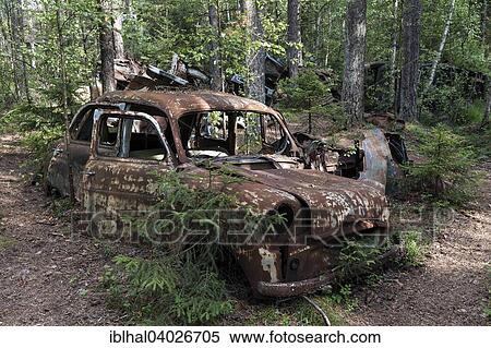 "Auto graveyard in the forest, junk cars, Kyrko Mosse, near Ryd, Smaland, Sweden, Europe" View Large Photo Image Stock Photography - "Auto graveyard in the forest, junk cars, Kyrko Mosse, near Ryd, Smaland, Sweden, Europe". Fotosearch