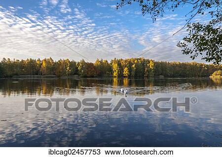 "Autumn at Lake Lindensee in Moenchbruch Nature Reserve, Hesse, Germany, Europe" View Large Photo Image Stock Image - "Autumn at Lake Lindensee in Moenchbruch Nature Reserve, Hesse, Germany, Europe". Fotosearch