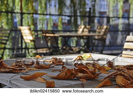Autumn foliage, Lueneburg, Lower Saxony, Germany, Europe, PublicGround, Europe View Large Photo Image Stock Image - Autumn foliage, Lueneburg, Lower Saxony, Germany, Europe, PublicGround, Europe. Fotosearch