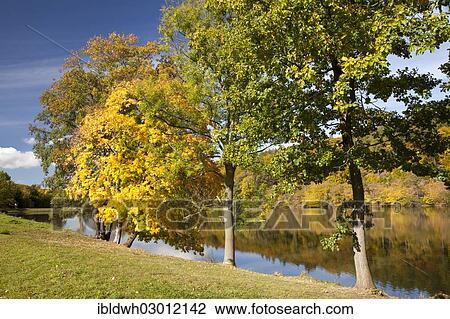 "Autumn forest on Wilhelmsthaler Lake in Wilhelmsthal, Thuringer Wald, Eisenach, Thuringia, Germany, Europe" View Large Photo Image Stock Image - "Autumn forest on Wilhelmsthaler Lake in Wilhelmsthal, Thuringer Wald, Eisenach, Thuringia, Germany, Europe". Fotosearch