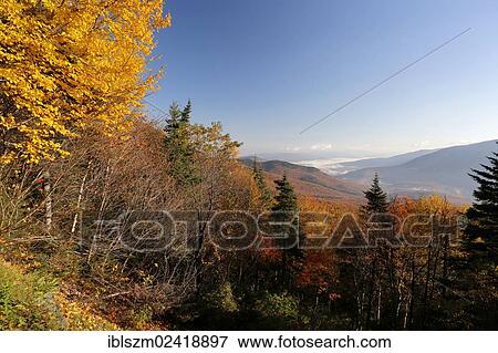 Autumn forest with fog, Mount Washington, New Hampshire, USA View Large Photo Image Stock Photo - Autumn forest with fog, Mount Washington, New Hampshire, USA. Fotosearch