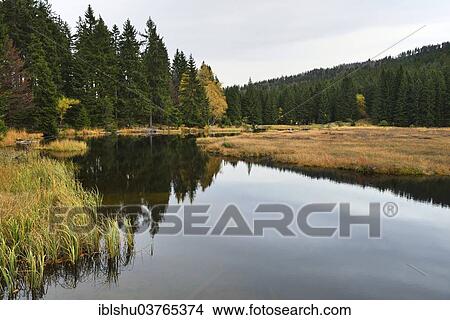 "Autumn in the Naturschutzgebiet Kleiner Arbersee nature reserve, Bavarian Forest, Lohberg, Bavaria, Germany, Europe" View Large Photo Image Picture - "Autumn in the Naturschutzgebiet Kleiner Arbersee nature reserve, Bavarian Forest, Lohberg, Bavaria, Germany, Europe". Fotosearch