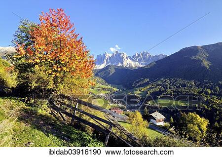 "Autumn in Val di Funes valley with the Geisler Peaks in the Dolomites, Val di Funes, Bolzano province, Trentino region, Alto Adige, Italy, Europe" View Large Photo Image Stock Image - "Autumn in Val di Funes valley with the Geisler Peaks in the Dolomites, Val di Funes, Bolzano province, Trentino region, Alto Adige, Italy, Europe". Fotosearch