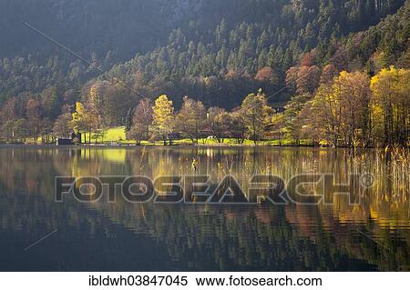 "Autumn landscape at Thumsee Lake, Bad Reichenhall, Upper Bavaria, Bavaria, Germany, Europe" View Large Photo Image Stock Photography - "Autumn landscape at Thumsee Lake, Bad Reichenhall, Upper Bavaria, Bavaria, Germany, Europe". Fotosearch