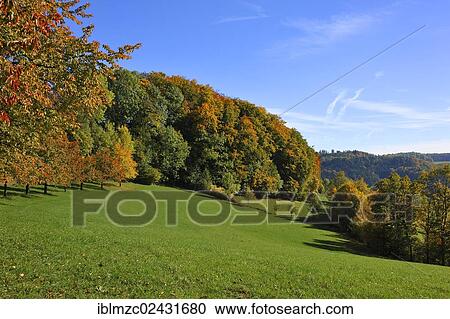 "Autumn landscape, Franconian Switzerland, near Enzenreuth, Middle Franconia, Bavaria, Germany, Europe" View Large Photo Image Stock Image - "Autumn landscape, Franconian Switzerland, near Enzenreuth, Middle Franconia, Bavaria, Germany, Europe". Fotosearch