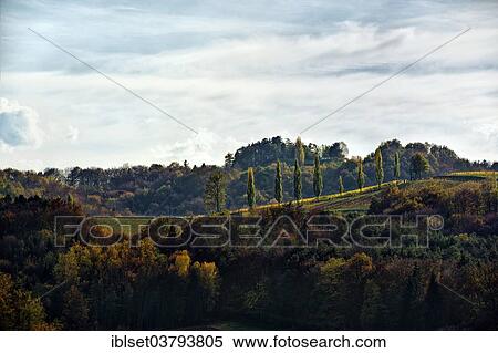 "Autumn landscape in Gamlitz, Southern Styria, Styria, Austria, Europe" View Large Photo Image Stock Photography - "Autumn landscape in Gamlitz, Southern Styria, Styria, Austria, Europe". Fotosearch