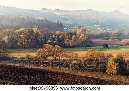 "Autumn landscape in the Mist, in Gamlitz, Southern Styria, Styria, Austria, Europe" View Large Photo Image Stock Photograph - "Autumn landscape in the Mist, in Gamlitz, Southern Styria, Styria, Austria, Europe". Fotosearch