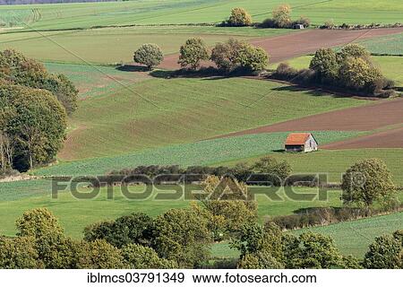 "Autumn landscape with a barn, Korle, North Hesse, Hesse, Germany, Europe" View Large Photo Image Stock Photo - "Autumn landscape with a barn, Korle, North Hesse, Hesse, Germany, Europe". Fotosearch