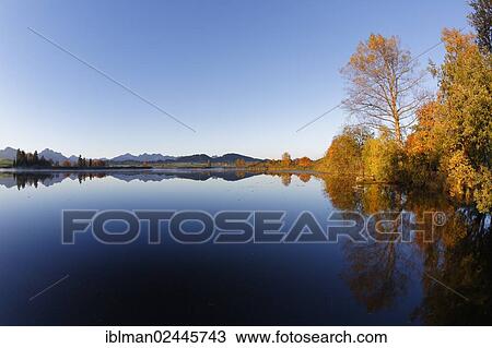 "Autumn morning at Huttlerweiher pond, Rosshaupten, Ostallgaeu, Allgaeu, Swabia, Bavaria, Germany, Europe" View Large Photo Image Stock Image - "Autumn morning at Huttlerweiher pond, Rosshaupten, Ostallgaeu, Allgaeu, Swabia, Bavaria, Germany, Europe". Fotosearch