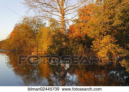 Stock Photo - "Autumn morning at Huttlerweiher pond, Rosshaupten, Ostallgaeu, Allgaeu, Swabia, Bavaria, Germany, Europe". Fotosearch