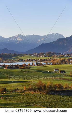 "Autumn morning in the foothills of the Alps, view from Mt Aidlinger Hoehe across Riegsee Lake, Froschhausen, Murnau and the Wetterstein Range with Mt Zugspitze, Aidling, Riegsee, Pfaffenwinkel region, Upper Bavaria, Bavaria, Germany, Europe" View Large Photo Image Stock Photo - "Autumn morning in the foothills of the Alps, view from Mt Aidlinger Hoehe across Riegsee Lake, Froschhausen, Murnau and the Wetterstein Range with Mt Zugspitze, Aidling, Riegsee, Pfaffenwinkel region, Upper Bavaria, Bavaria, Germany, Europe". Fotosearch