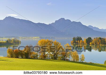 Stock Image - "Autumn morning on Forggensee at Rosshaupten, Ostallgaeu, Allgaeu, Swabia, Bavaria, Germany, Europe". Fotosearch