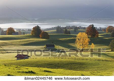 Stock Photograph - "Autumn morning overlooking Forggensee lake, Ussenburg near Rosshaupten, Ostallgaeu, Allgaeu, Swabia, Bavaria, Germany, Europe". Fotosearch